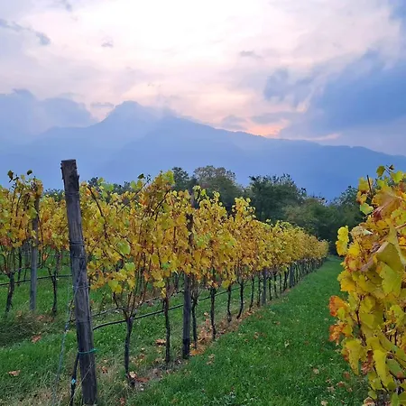 Alloggio per agriturismo Agritur Ponte Alto *