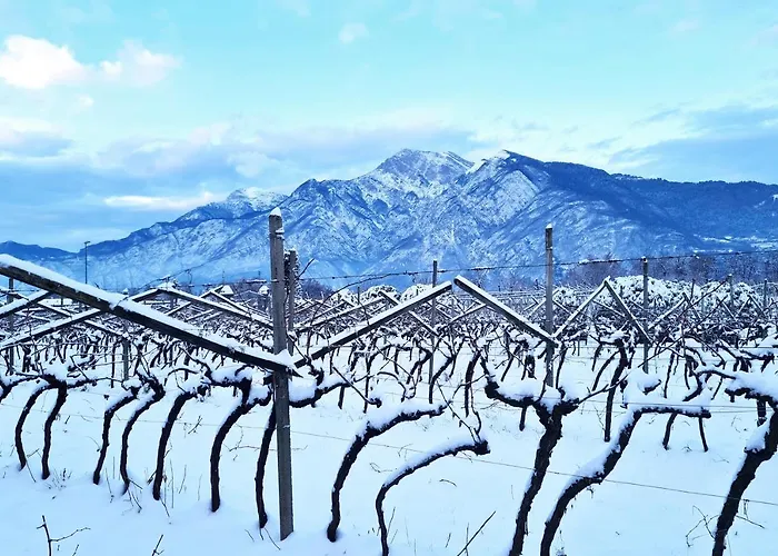 Agritur Ponte Alto ファームステイ トレント