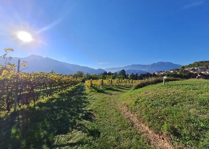 Agritur Ponte Alto ファームステイ