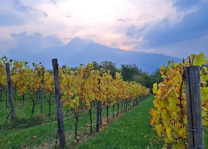 ファームステイ Agritur Ponte Alto *