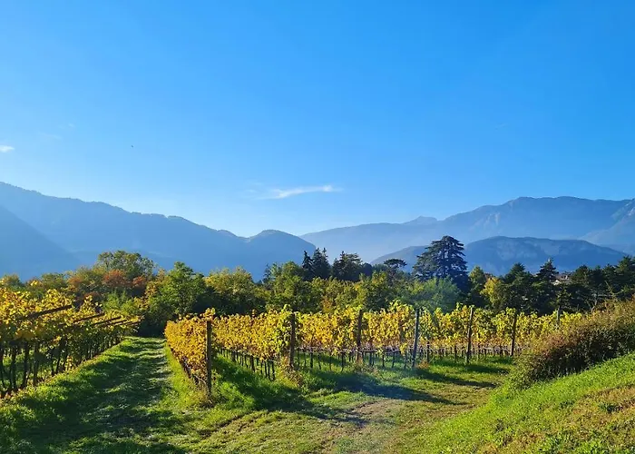 Agritur Ponte Alto ファームステイ